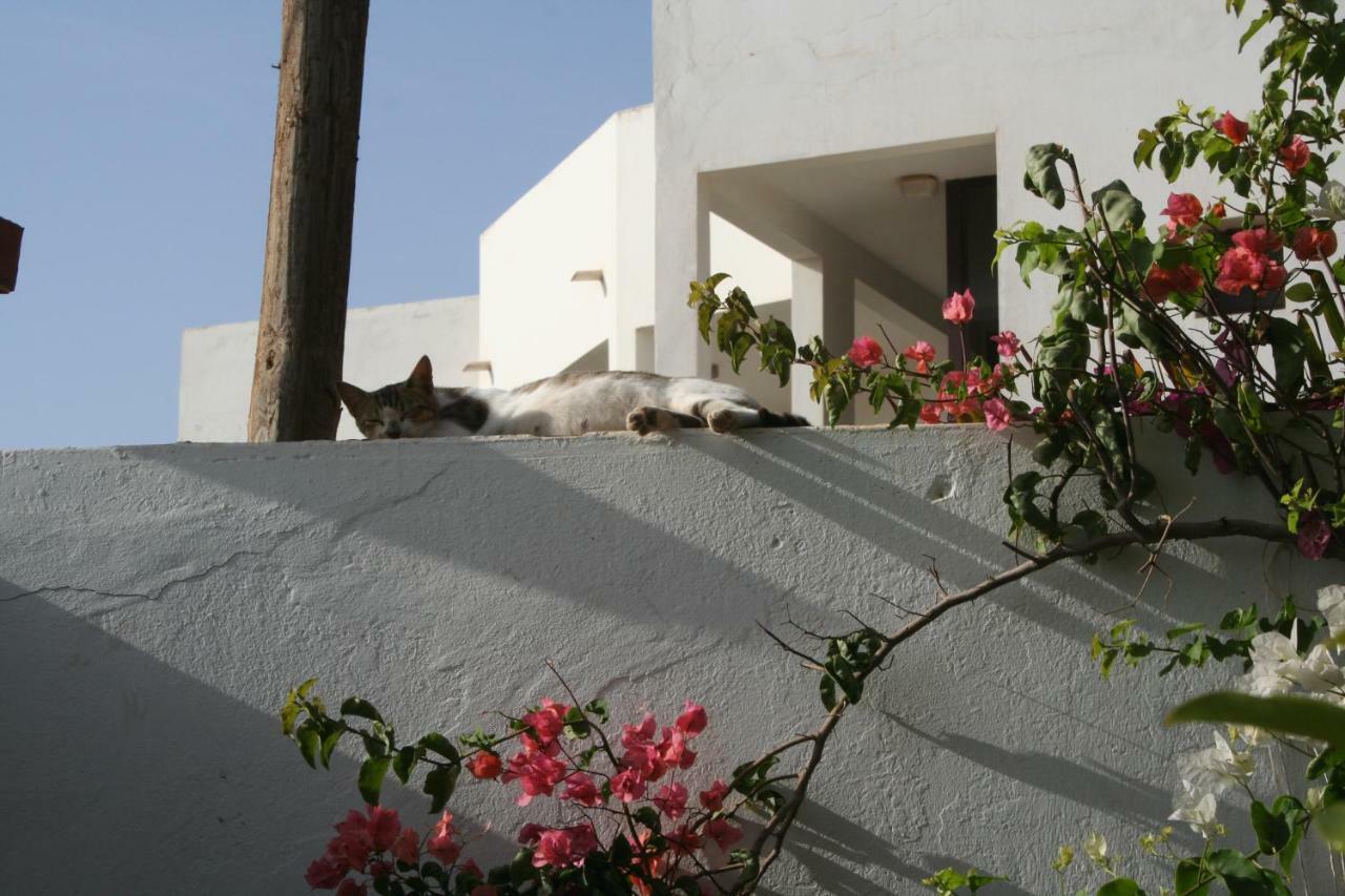 Auberge Keur Diame داكاغْ المظهر الخارجي الصورة