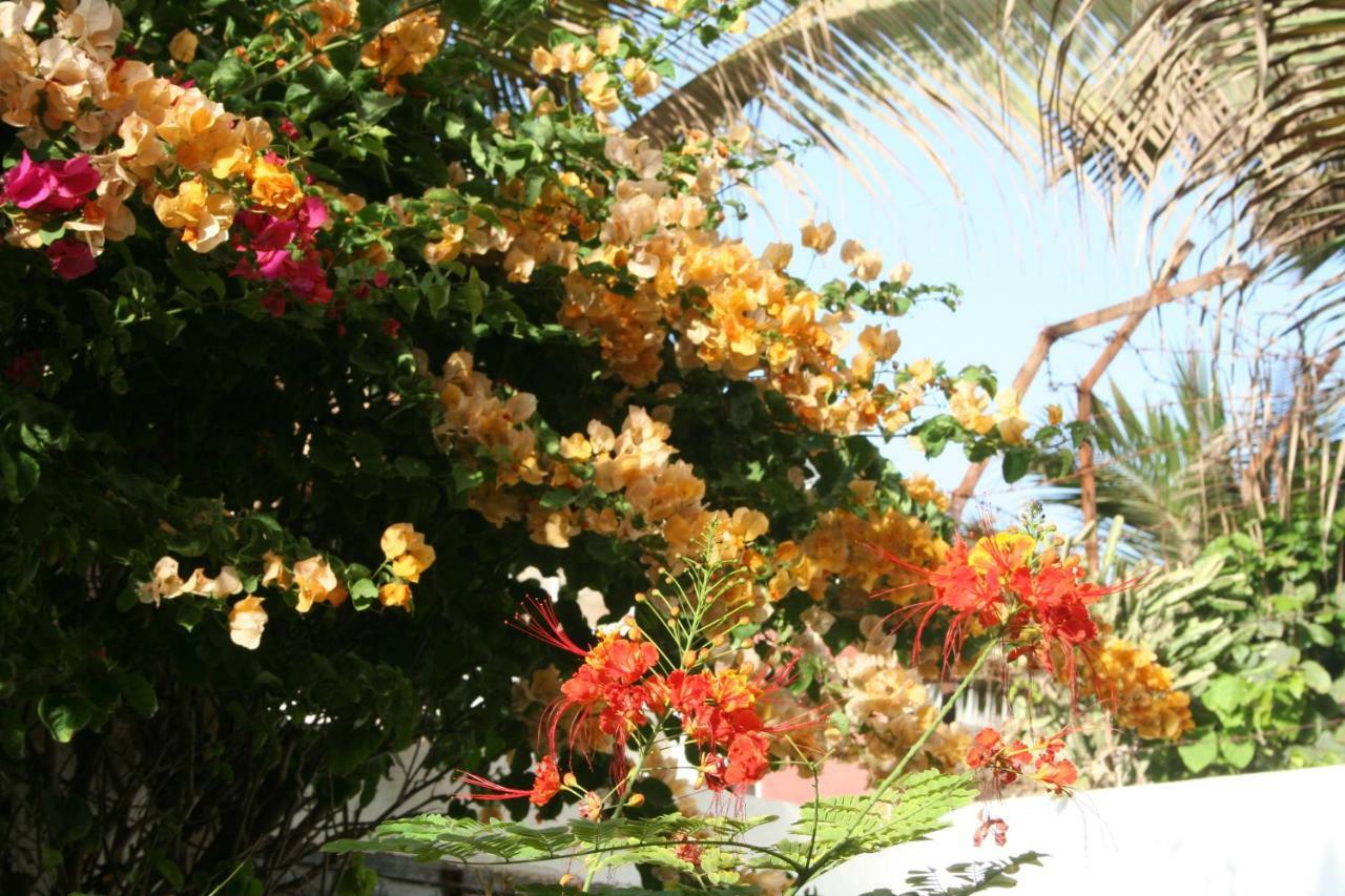 Auberge Keur Diame داكاغْ المظهر الخارجي الصورة